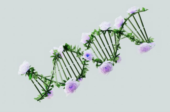 A creative representation of a DNA helix with blooming pastel roses, blending nature and science.